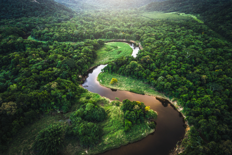 Fenntarthatósági elit klubban a Schneider Electric